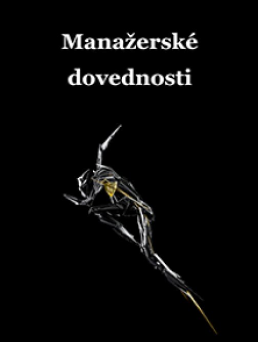 Manažerské dovednosti